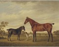 A horse and foal with a hound in a landscape - Charles Towne