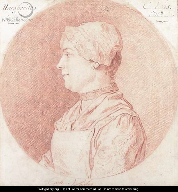 Portrait of Marguerite Carbois, bust-length, in profile to the left - Charles-André van Loo