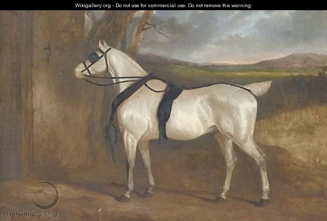 A grey carriage horse - Charles Hancock