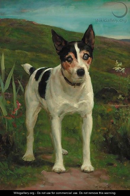Joseph, a Jack Russell terrier - Charles Robertson