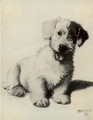 A sealyham terrier 2 - Cecil Charles Aldin