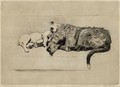 Sleeping partners - Cecil Charles Aldin