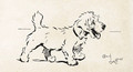 A terrier - Cecil Charles Aldin