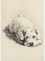 A sealyham puppy - Cecil Charles Aldin