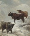 Highland cattle in a mountainous winter landscape - Charles Jones
