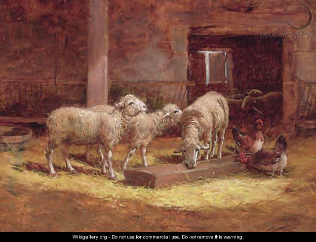 Sheep and chickens in a barn - Charles Clair