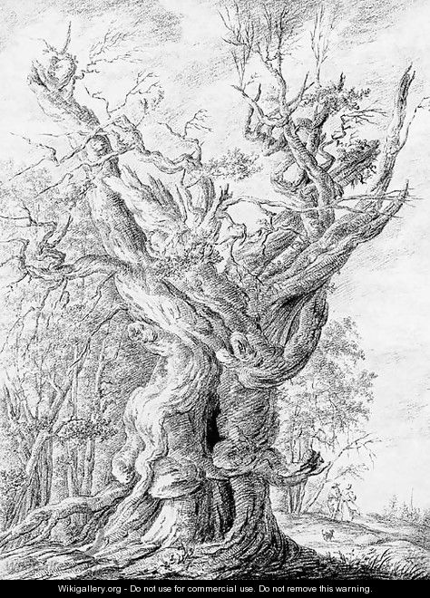 A gnarled and ancient oak - Pehr Hillestrom