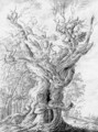 A gnarled and ancient oak - Pehr Hillestrom