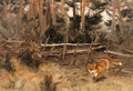 A Red Fox in a Landscape - Bruno Andreas Liljefors