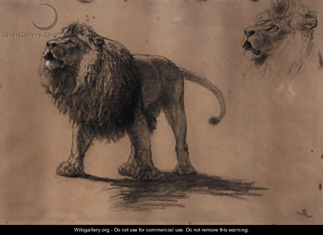 Lion Studies - Briton Rivière Lion Studies - Briton Rivière