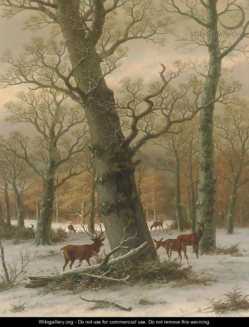 Deer in a Forest - Caesar Bimmermann