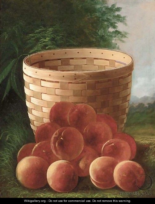 Peaches by a Basket - Carducius Plantagenet Ream