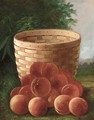 Peaches by a Basket - Carducius Plantagenet Ream