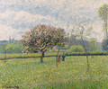 Pommier en fleurs Eragny - Camille Pissarro