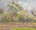 Poiriers en fleur, Eragny - Camille Pissarro