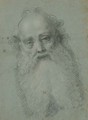 The head of a bearded man - Bernardino Lanino