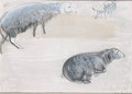 Study of Sheep - Boris Dmitrievich Grigoriev