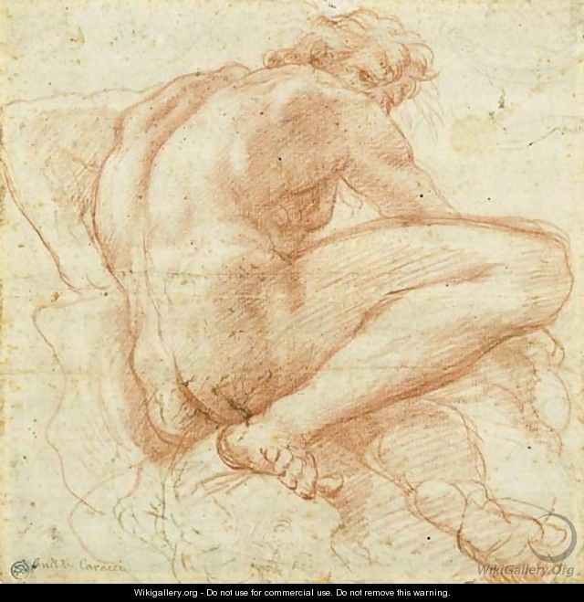 A seated nude, seen di sotto in su from behind, looking over his shoulder - Bolognese School