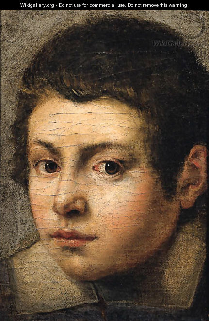 The head of a young boy - Bolognese School