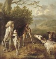 Four greyhounds in a wooded landscape - Flemish School