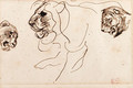 Three heads of lions - Eugene Delacroix