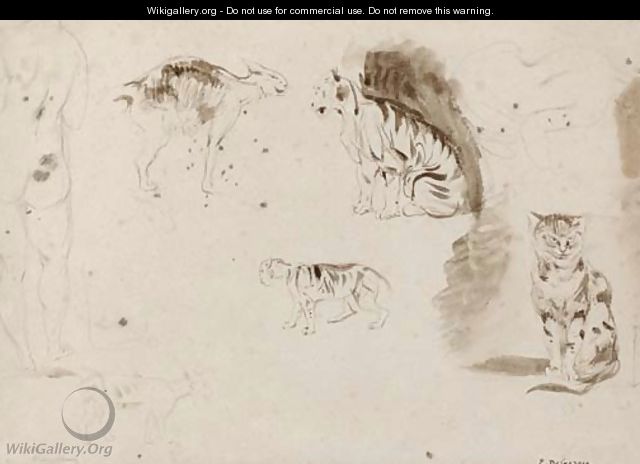 Studies of cats, other felines and two female nudes seen from behind - Eugene Delacroix