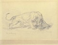 A lioness attacking a crocodile - Eugene Delacroix