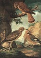 A chuff, hawk, sparrow and kestrel in a landscape - Ferdinand Phillip de Hamilton
