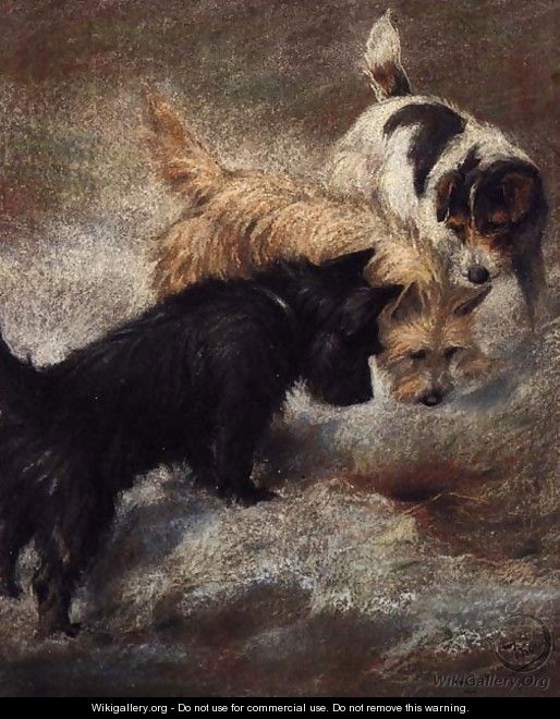 Terriers rabbiting - Fannie Moody