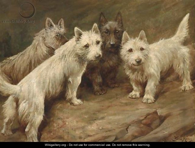 Four Cairn terriers - Fannie Moody