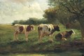 Cows in a sunlit polder landscape - Fedor Van Kregten