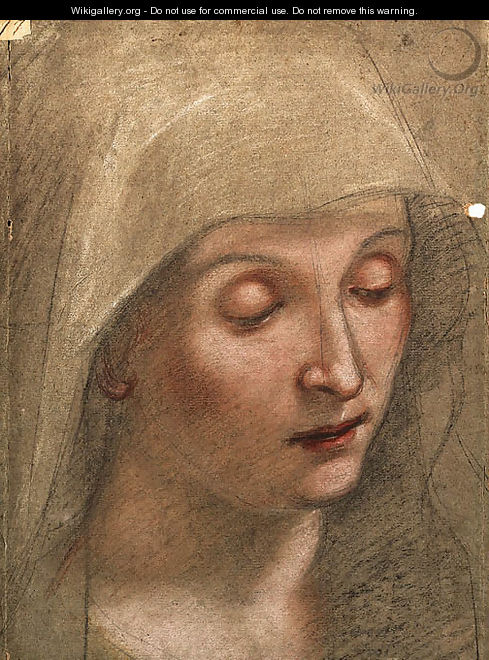The head of the Virgin - Federico Fiori Barocci