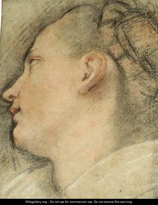 The Head Of A Young Woman, In Profile Looking Up To The Left - Federico Fiori Barocci