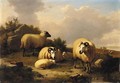 Mountain sheep in a landscape - Eugène Verboeckhoven