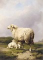 Ewe with two lamb - Eugène Verboeckhoven