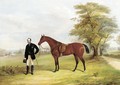 A gentleman with a saddled bay hunter in a parkland - F. C. Freeman