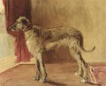 An Irish wolf hound - Etty Horton
