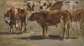 Etude de vaches - Eugène Boudin