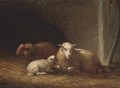 Sheep in a barn - Eugène Verboeckhoven