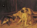 Up to mischief, two pugs with a kitten - English School