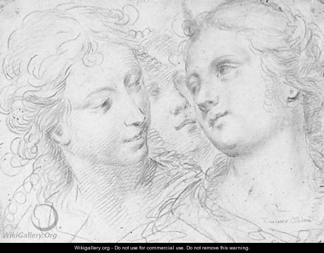 Three studies of female heads - Ercole Procaccini Il Giovane