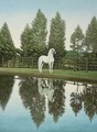 The white stallion - Enrique Martinez Cubells y Ruiz