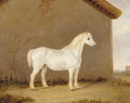 A grey horse beside a barn - English School