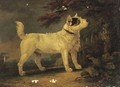 A Jack Russell terrier in a wooded landscape - English School