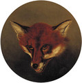 The head of a fox - English School