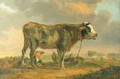 A bull in a meadow - English School