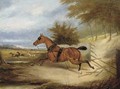 The runaway horse - English School