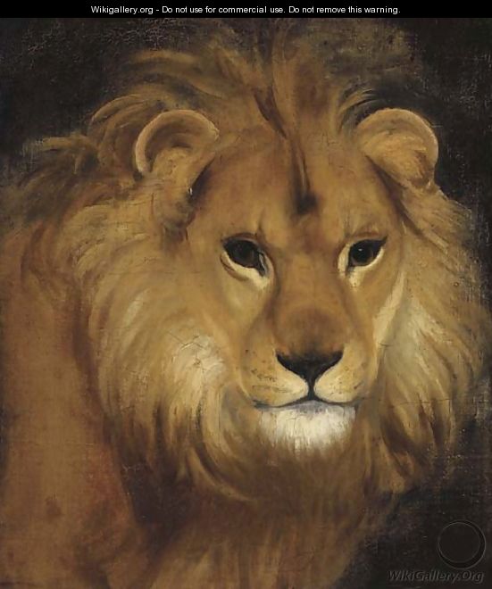 The head of a lion - English School