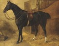 A black hunter in a stable - English School