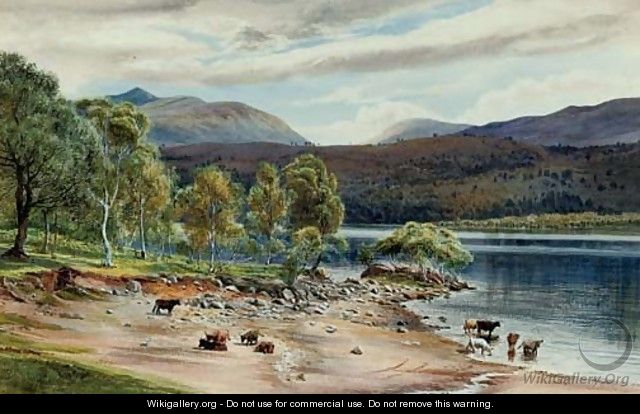 Highland cattle watering at a loch - English School